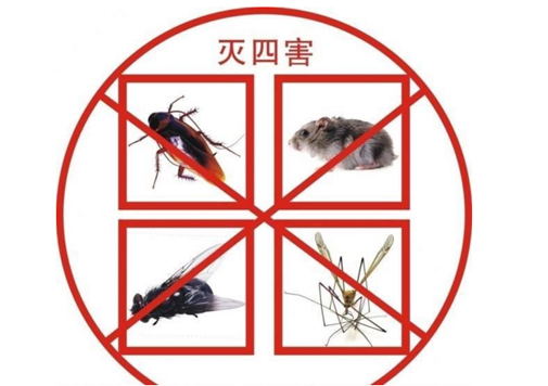 除四害服務(wù)